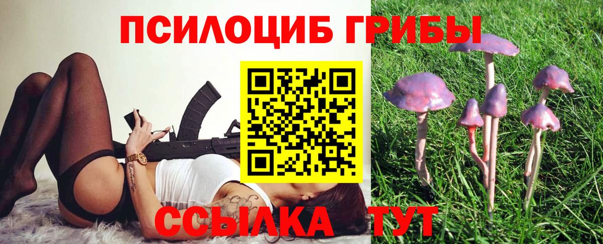 Меф кристаллы  Тамбов  Кодеин  LSD-25  Бошки Шишки  Вход с VPN  Cocaine  Продажа наркотиков  Экстази 