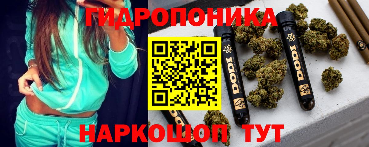 Канабис тримм  Бошки Шишки семена  Вход с VPN  Марихуана марихуана  Тамбов 